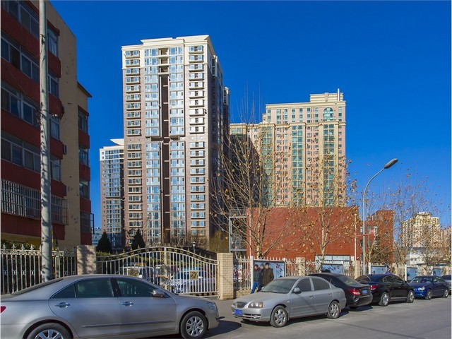 上海露营地建设